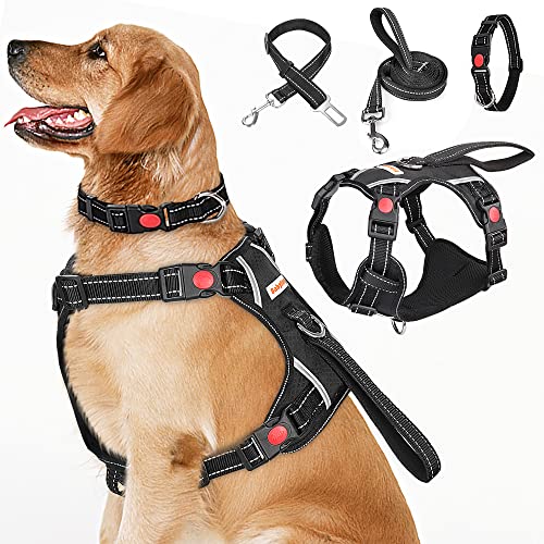 dog accessories 2