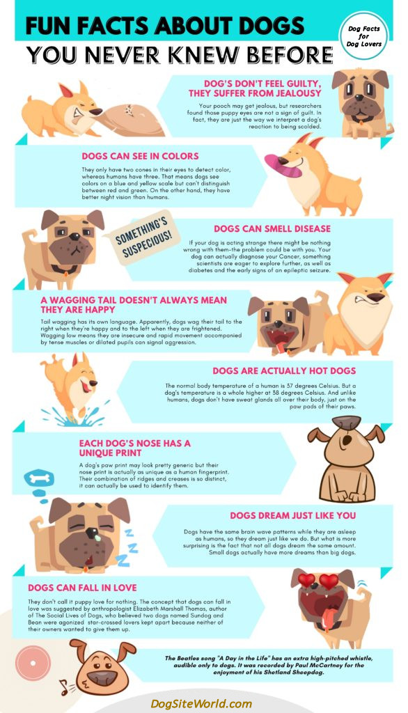 dog facts 5a