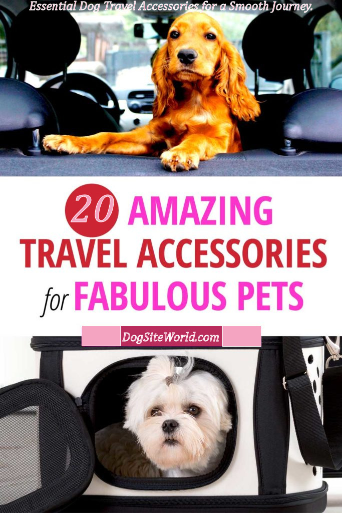 Dog-Travel-Accessories