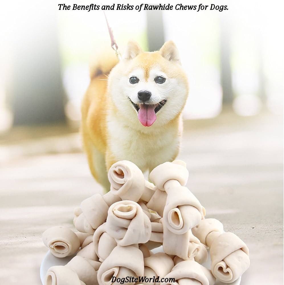 Rawhide Chews for Dogs