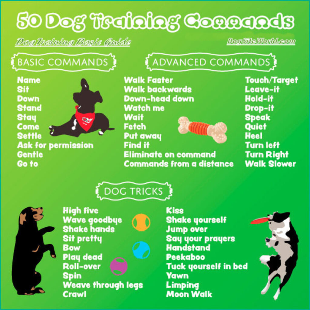 Dog Training Basic Guide