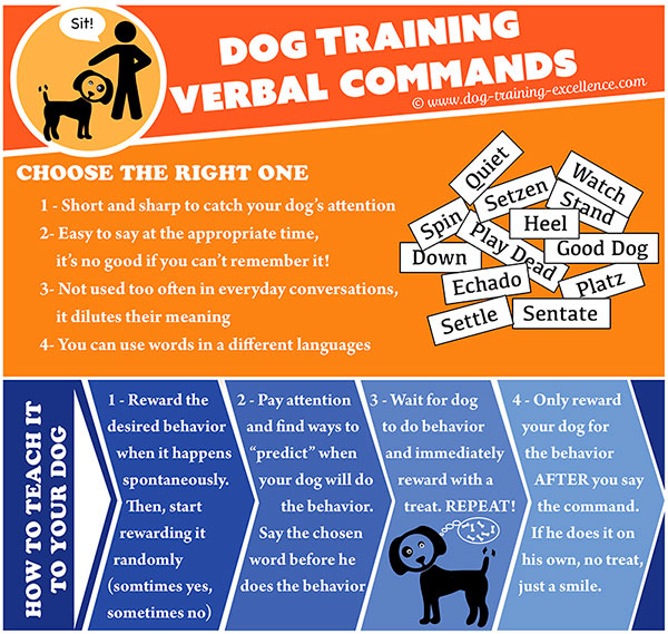 Dog Training 5