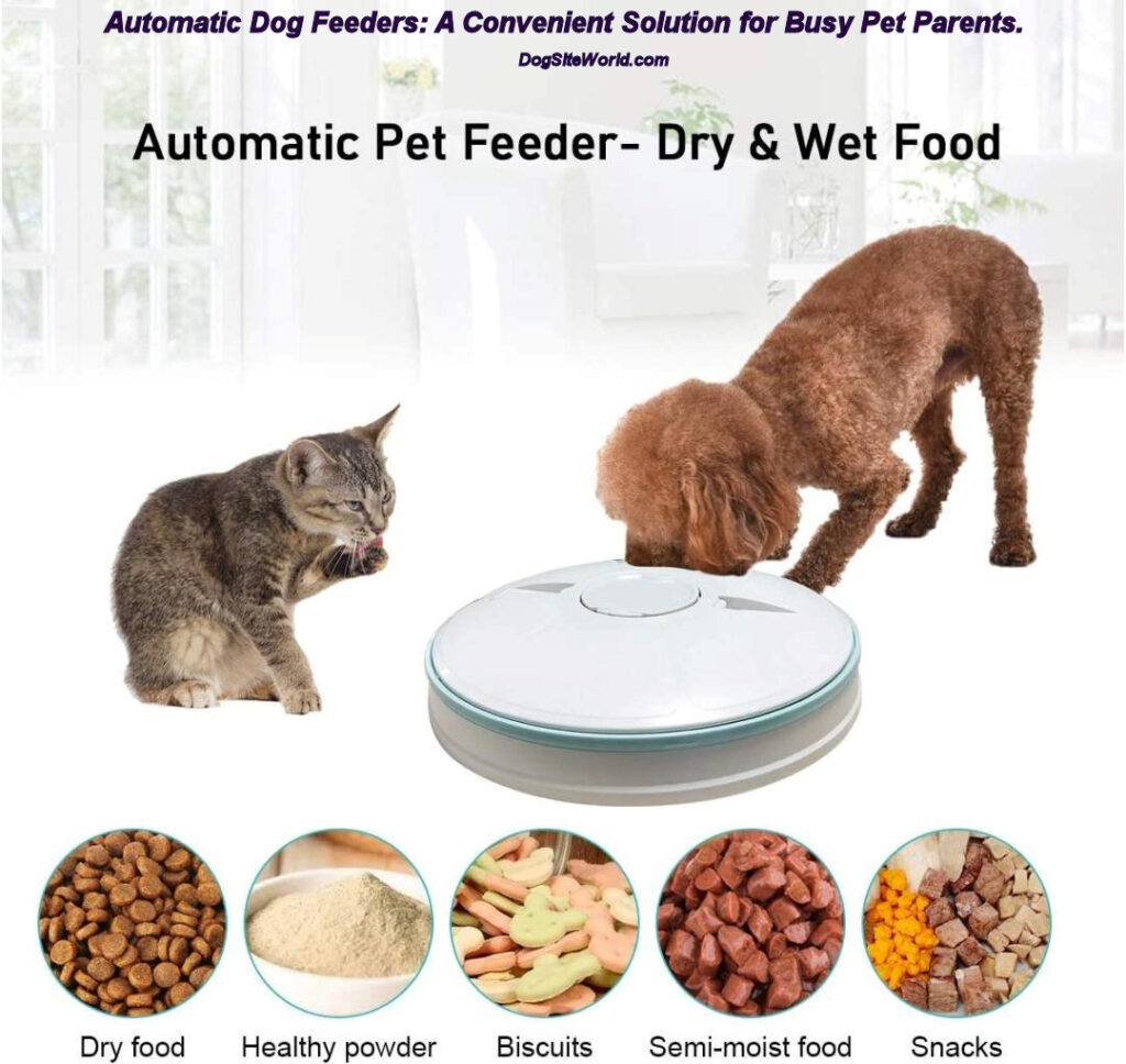 automatic-dog-feeders