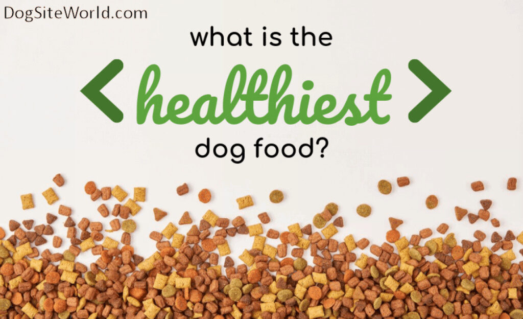 why-proper-nutrition-is-key-to-a-long-and-happy-life-for-your-adult-dog