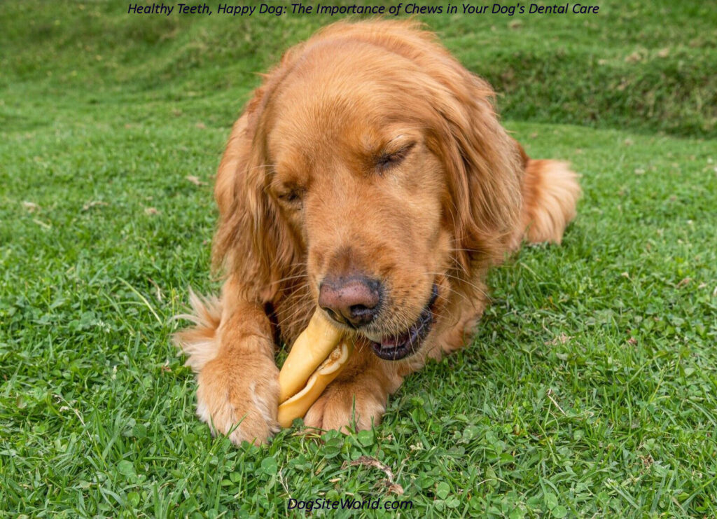 long-lasting-dog-chews