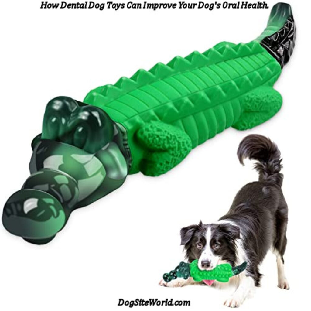 Dental Dog Toys