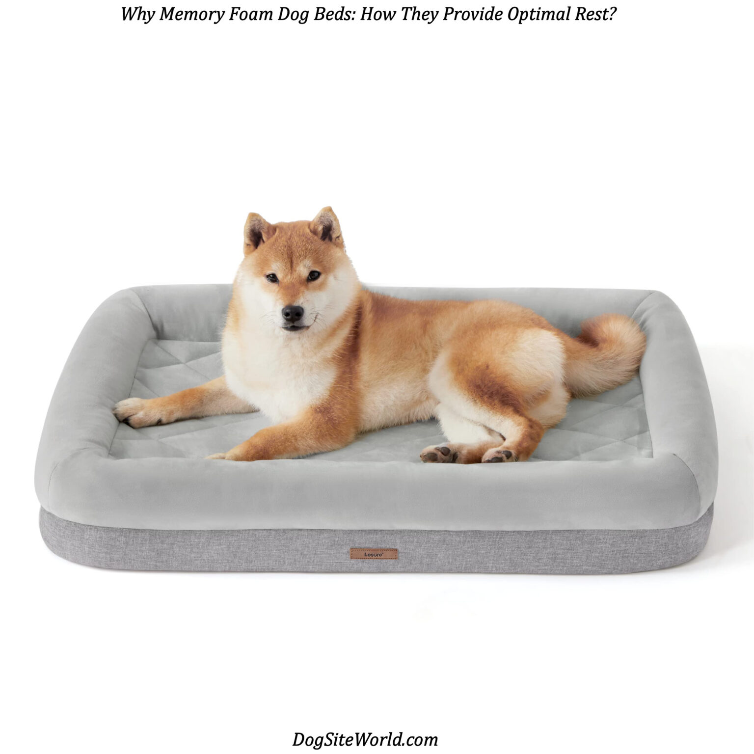 Why Memory Foam Dog Beds: How They Provide Optimal Rest? | No1 Online ...